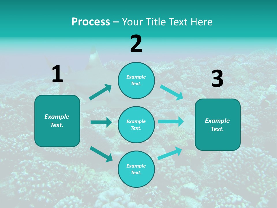 Vacaciones Tiburon Bora Bora PowerPoint Template