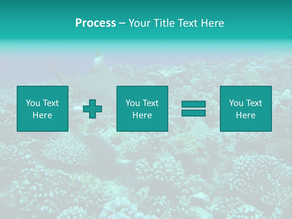 Vacaciones Tiburon Bora Bora PowerPoint Template