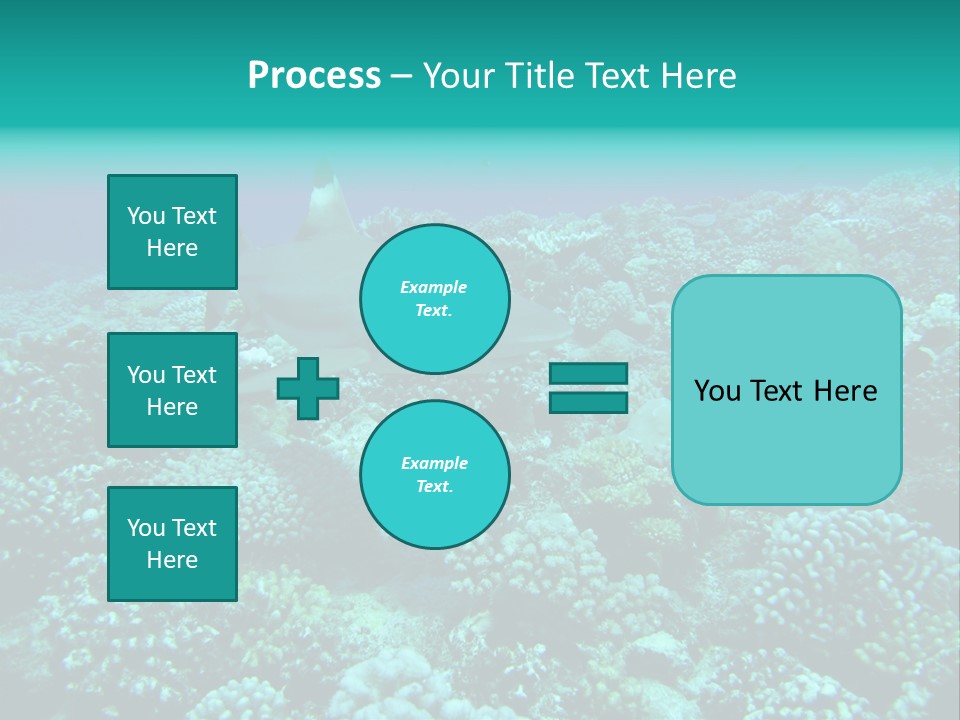 Vacaciones Tiburon Bora Bora PowerPoint Template