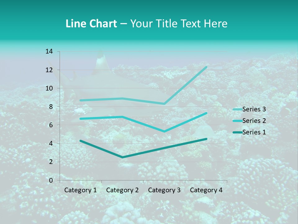 Vacaciones Tiburon Bora Bora PowerPoint Template