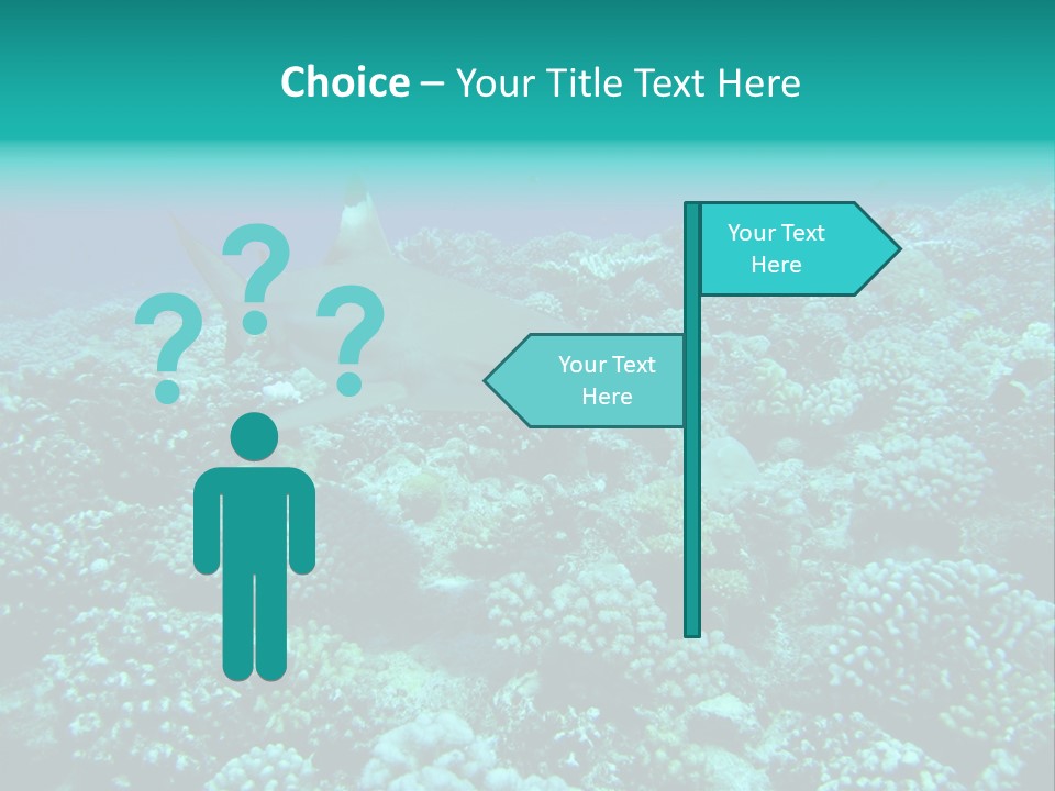 Vacaciones Tiburon Bora Bora PowerPoint Template