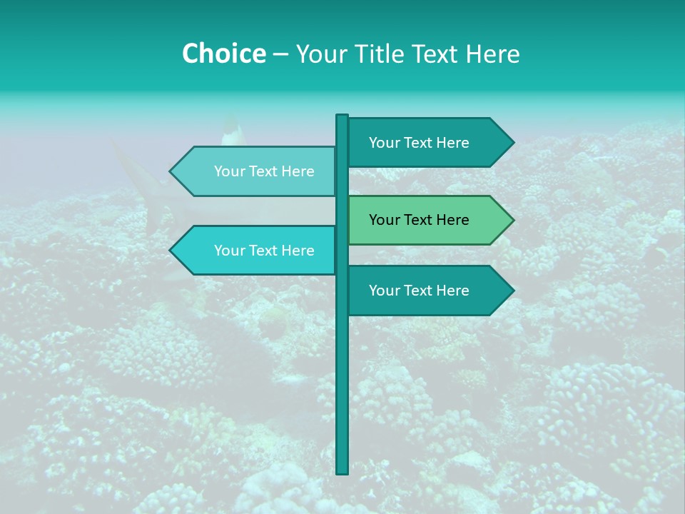 Vacaciones Tiburon Bora Bora PowerPoint Template