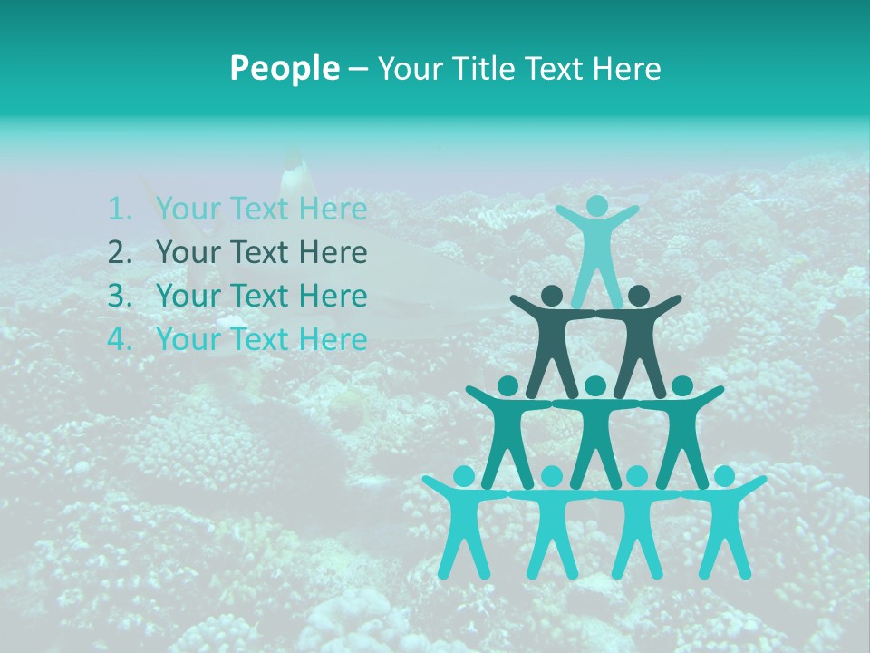 Vacaciones Tiburon Bora Bora PowerPoint Template