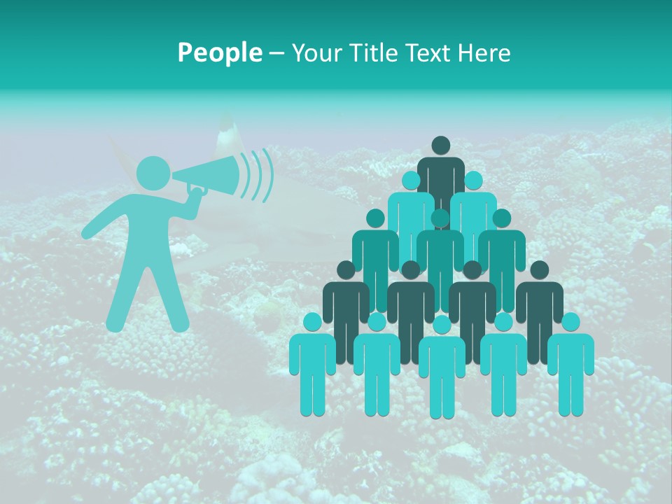 Vacaciones Tiburon Bora Bora PowerPoint Template