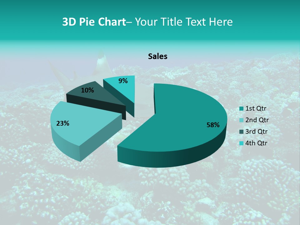 Vacaciones Tiburon Bora Bora PowerPoint Template