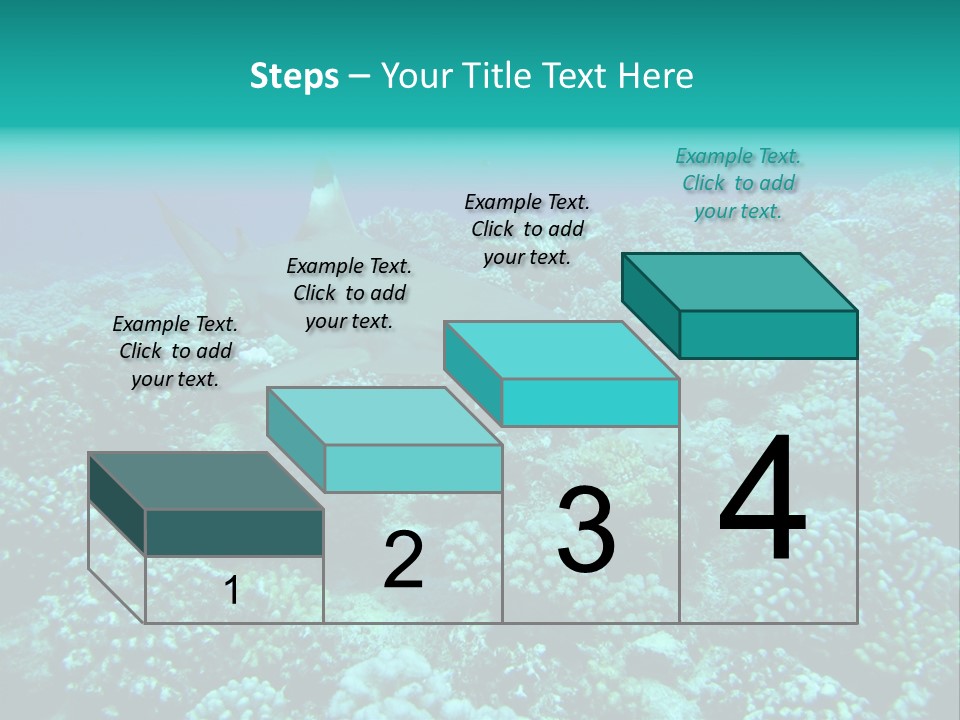 Vacaciones Tiburon Bora Bora PowerPoint Template