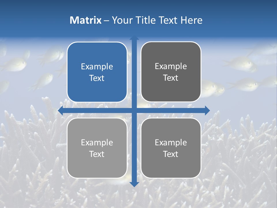 Sports Swimming Background PowerPoint Template