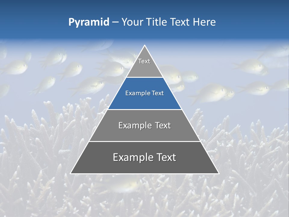 Sports Swimming Background PowerPoint Template