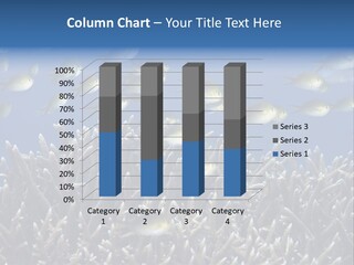 Sports Swimming Background PowerPoint Template