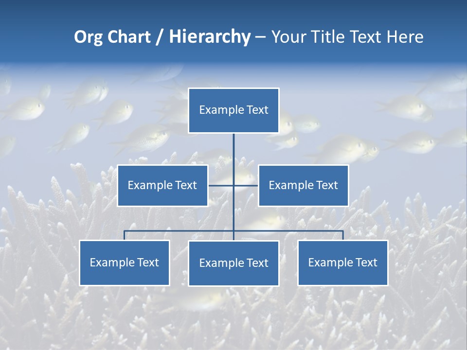 Sports Swimming Background PowerPoint Template