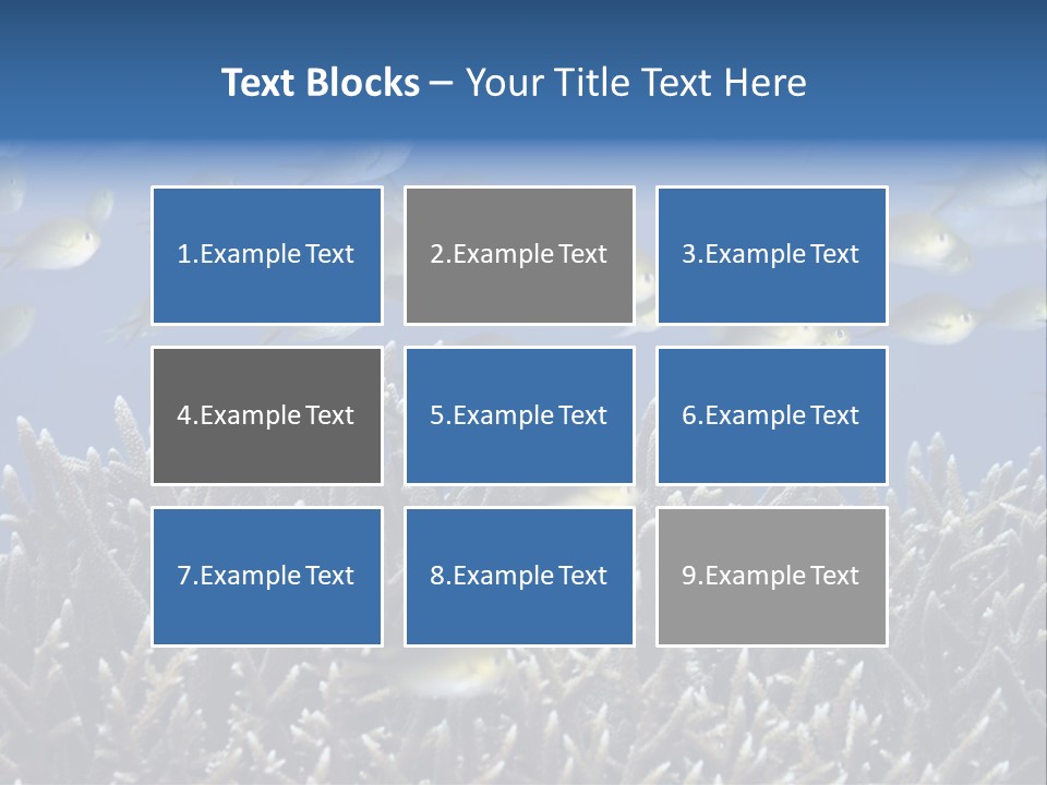 Sports Swimming Background PowerPoint Template