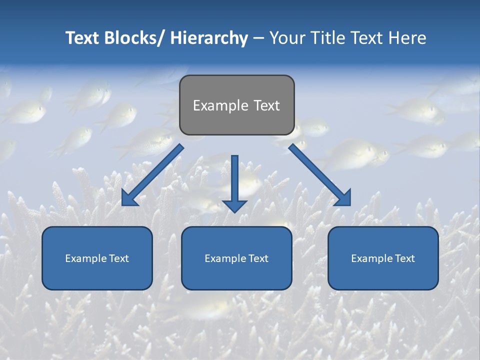 Sports Swimming Background PowerPoint Template