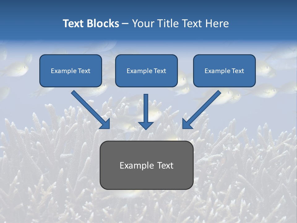 Sports Swimming Background PowerPoint Template