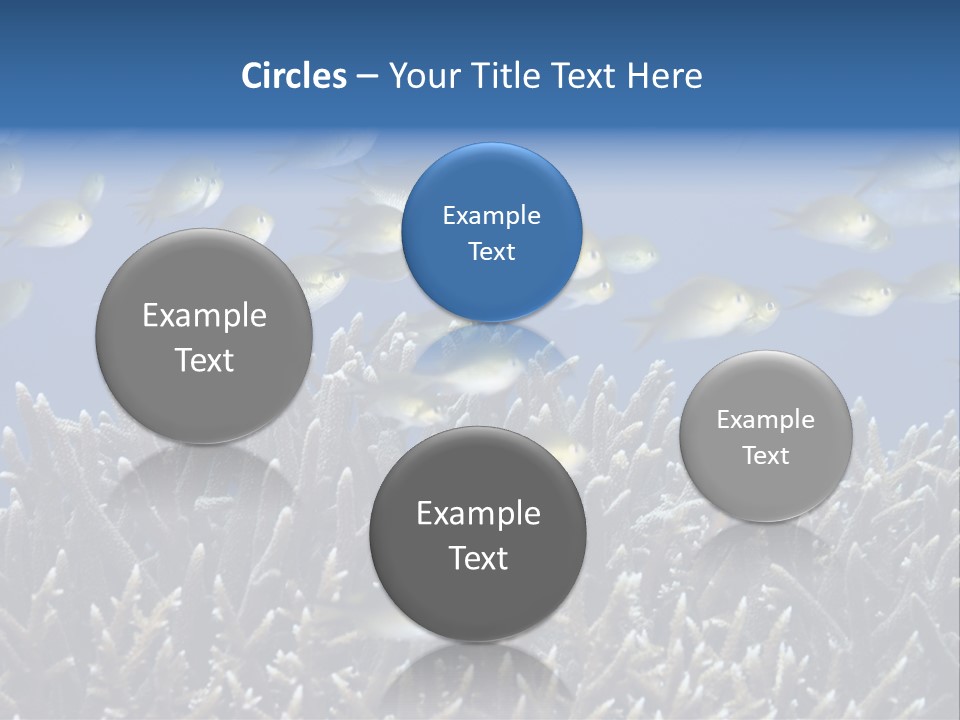 Sports Swimming Background PowerPoint Template