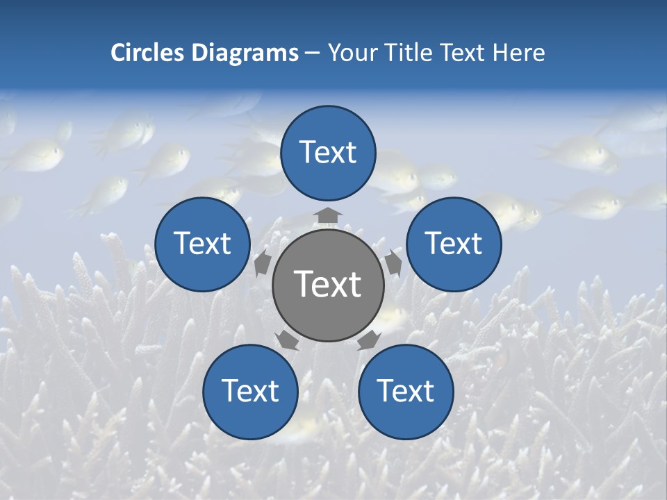 Sports Swimming Background PowerPoint Template