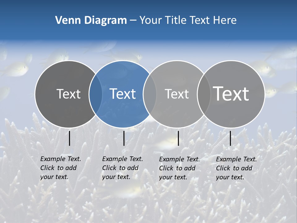 Sports Swimming Background PowerPoint Template