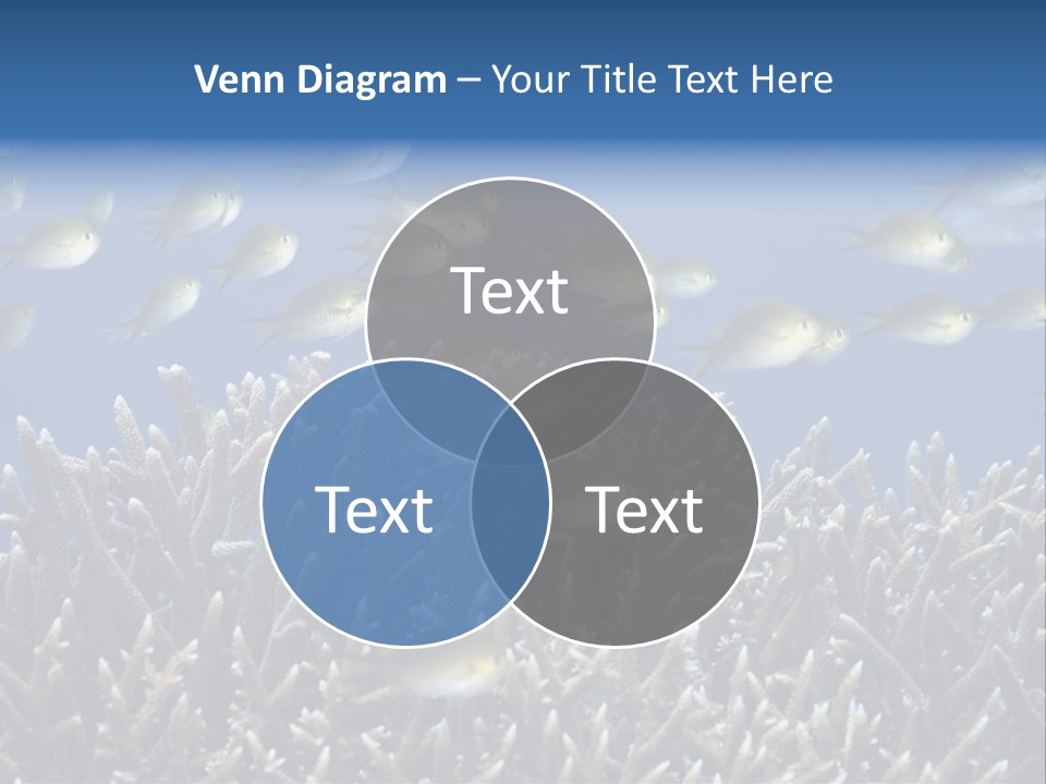 Sports Swimming Background PowerPoint Template