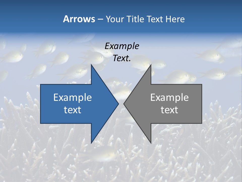 Sports Swimming Background PowerPoint Template