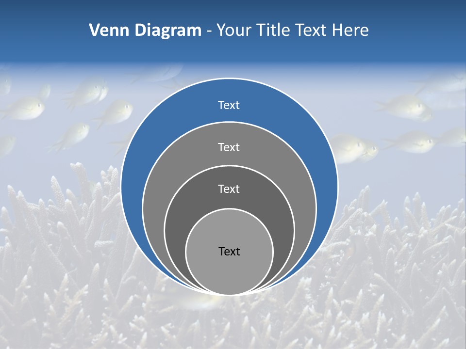 Sports Swimming Background PowerPoint Template