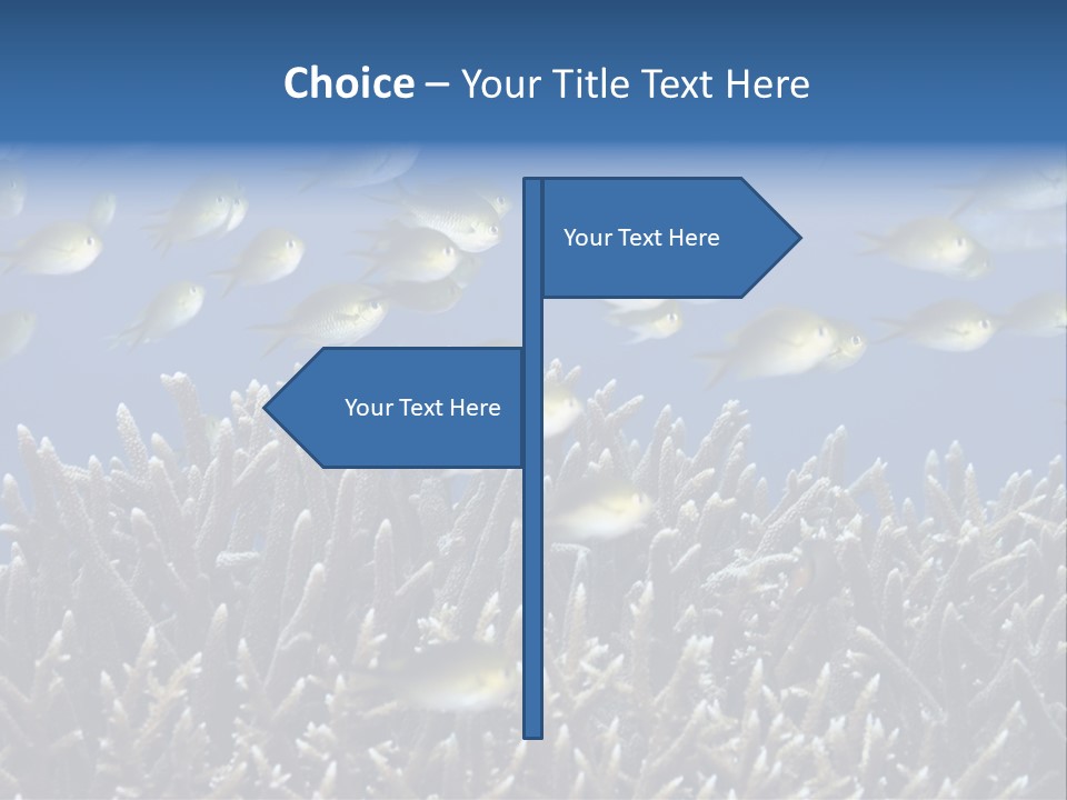 Sports Swimming Background PowerPoint Template