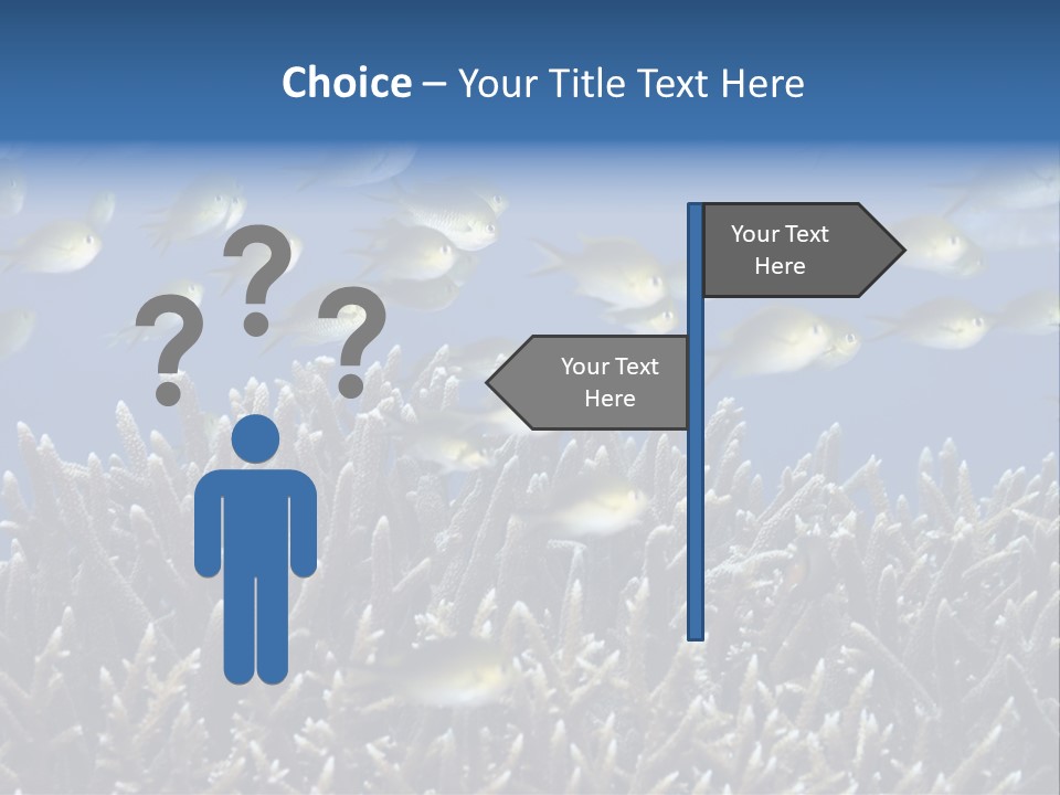 Sports Swimming Background PowerPoint Template