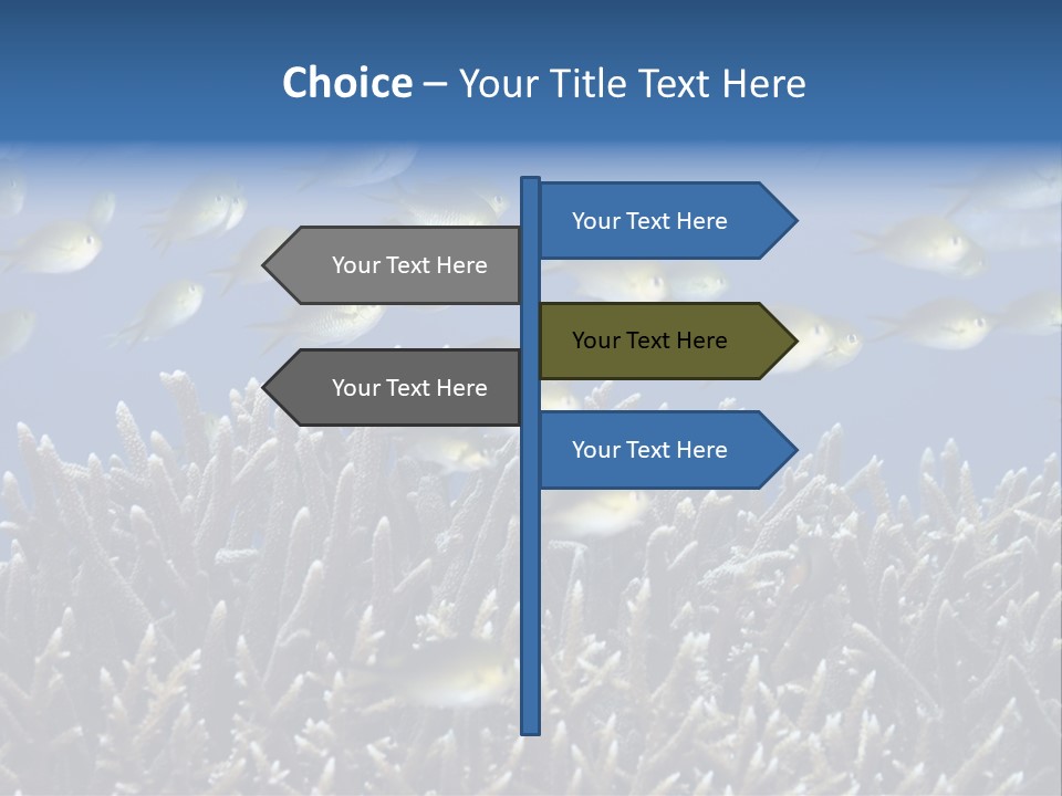 Sports Swimming Background PowerPoint Template