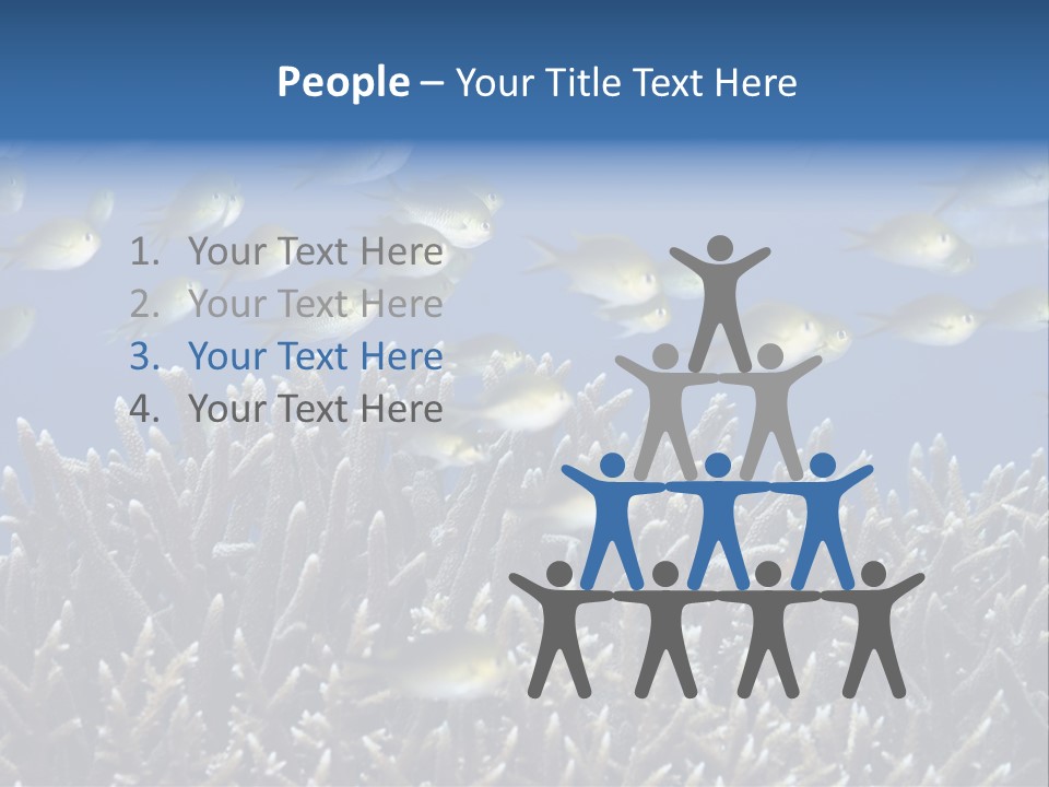 Sports Swimming Background PowerPoint Template