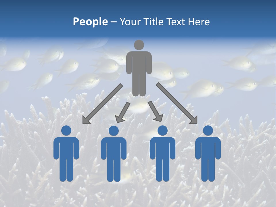 Sports Swimming Background PowerPoint Template