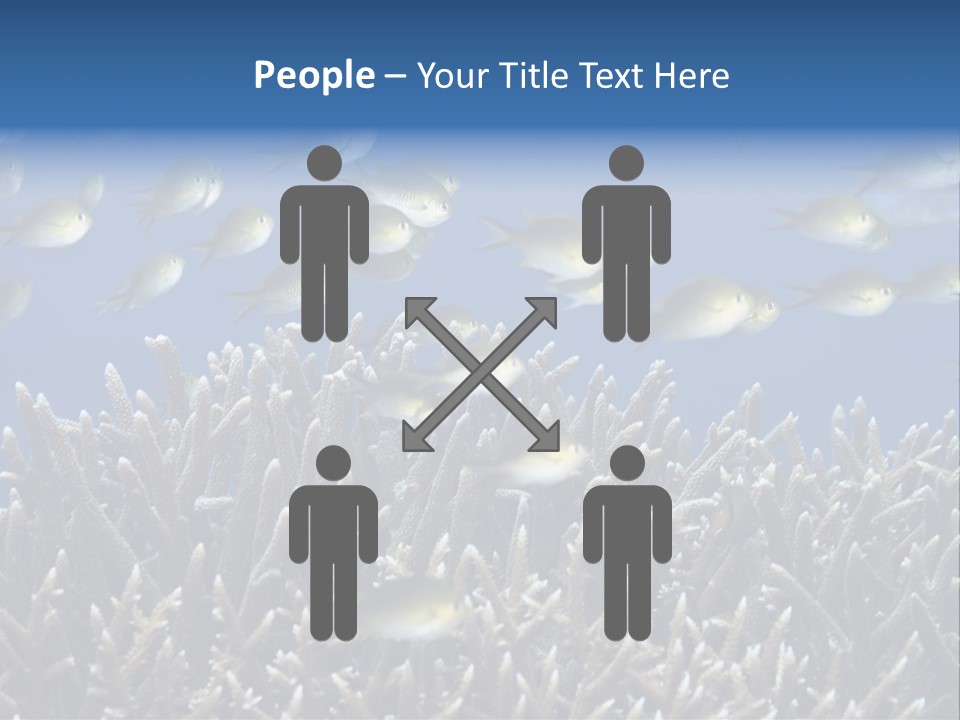 Sports Swimming Background PowerPoint Template