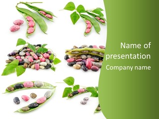 Nature Bean Collection PowerPoint Template