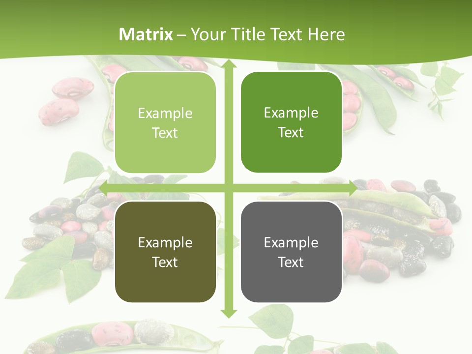 Nature Bean Collection PowerPoint Template