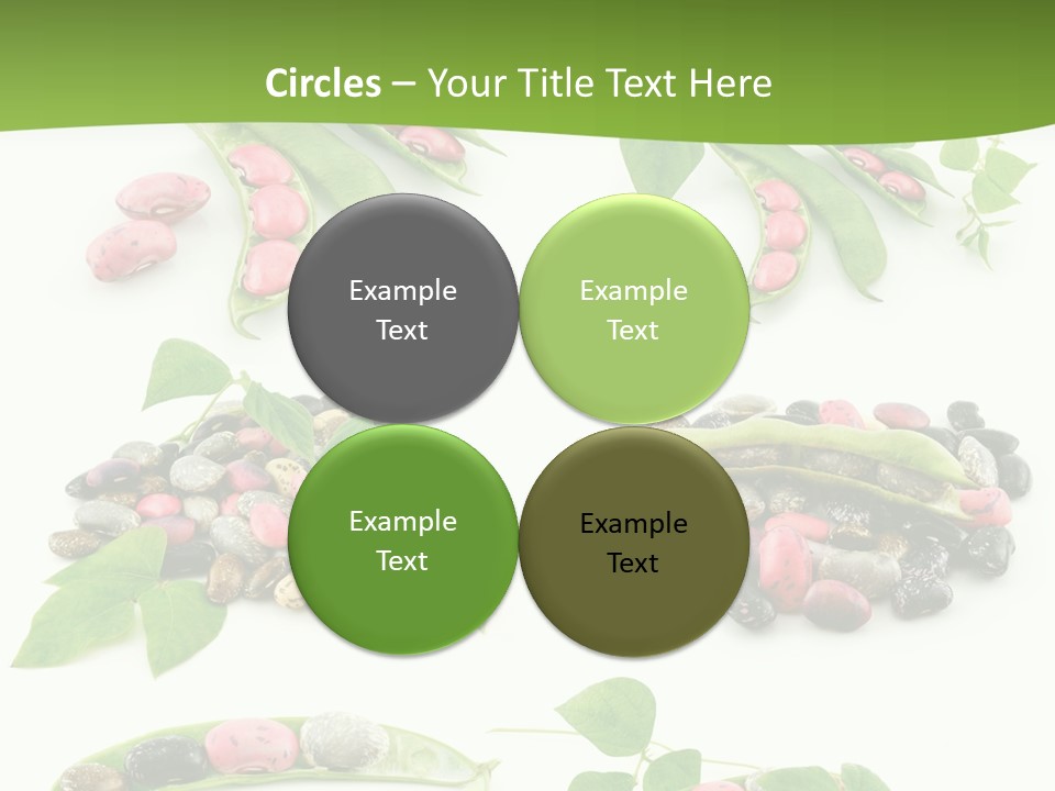 Nature Bean Collection PowerPoint Template