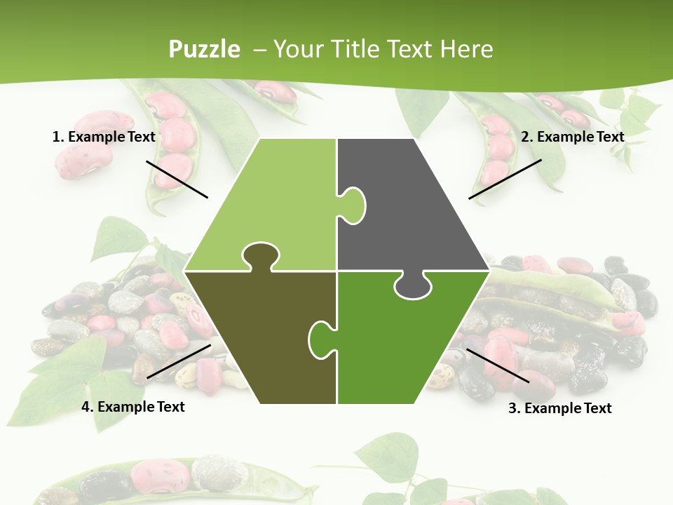 Nature Bean Collection PowerPoint Template