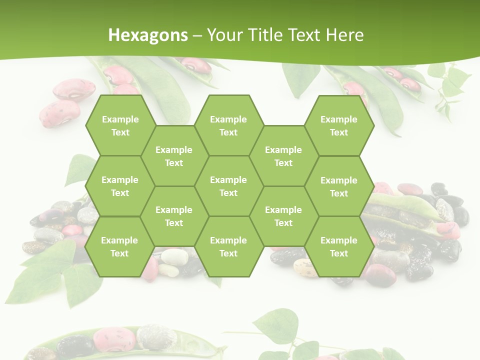 Nature Bean Collection PowerPoint Template