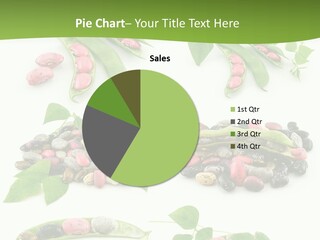 Nature Bean Collection PowerPoint Template