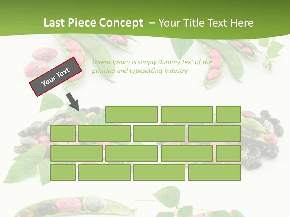 Nature Bean Collection PowerPoint Template
