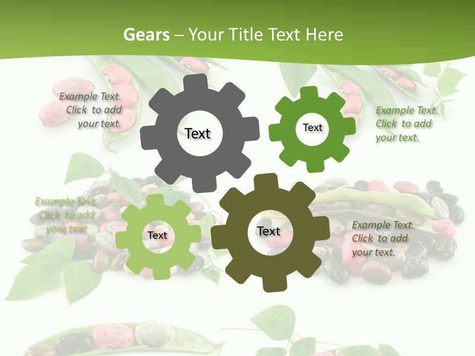 Nature Bean Collection PowerPoint Template