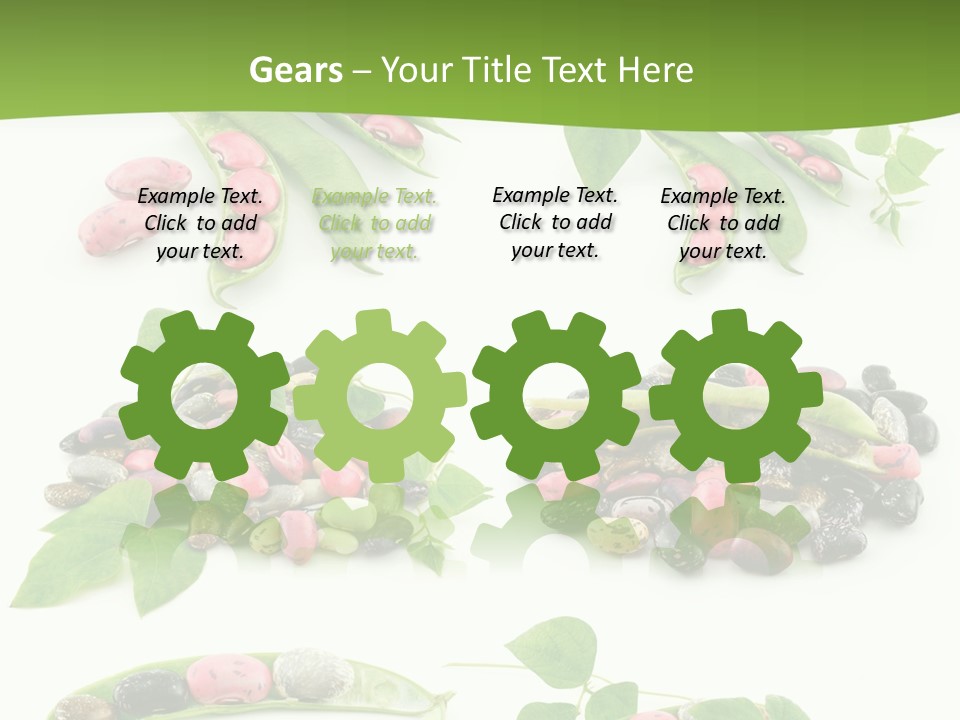 Nature Bean Collection PowerPoint Template
