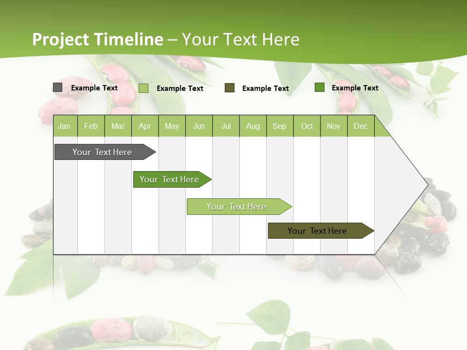 Nature Bean Collection PowerPoint Template