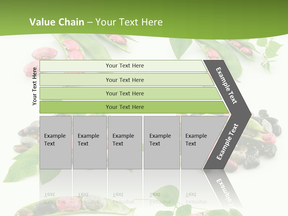 Nature Bean Collection PowerPoint Template