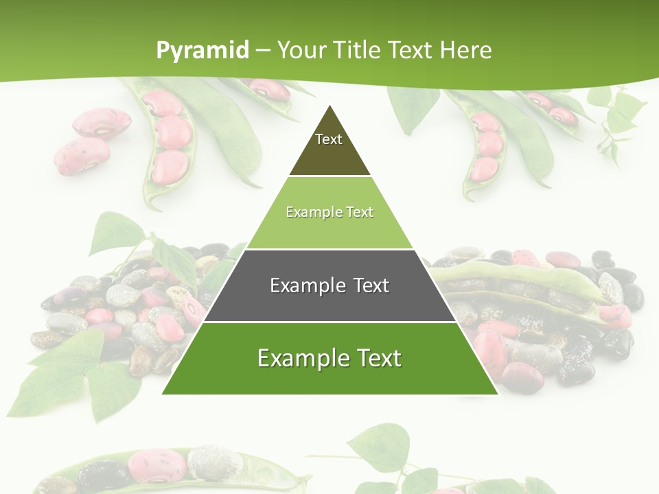 Nature Bean Collection PowerPoint Template