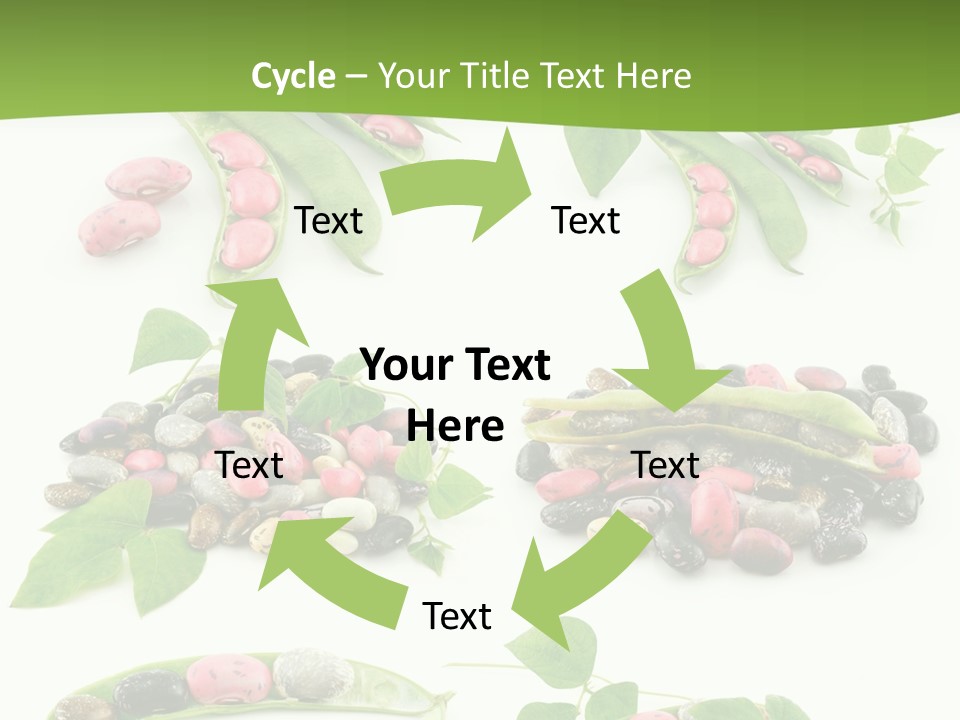 Nature Bean Collection PowerPoint Template