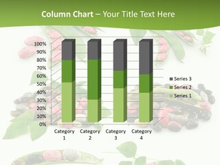 Nature Bean Collection PowerPoint Template