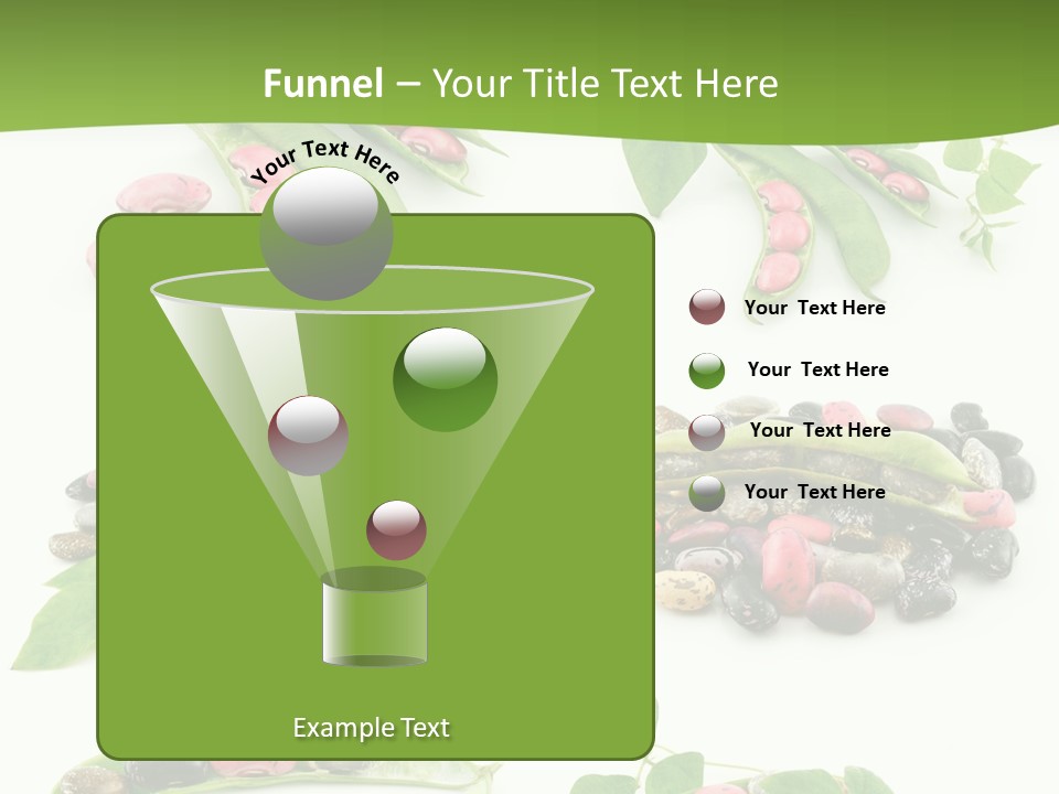 Nature Bean Collection PowerPoint Template