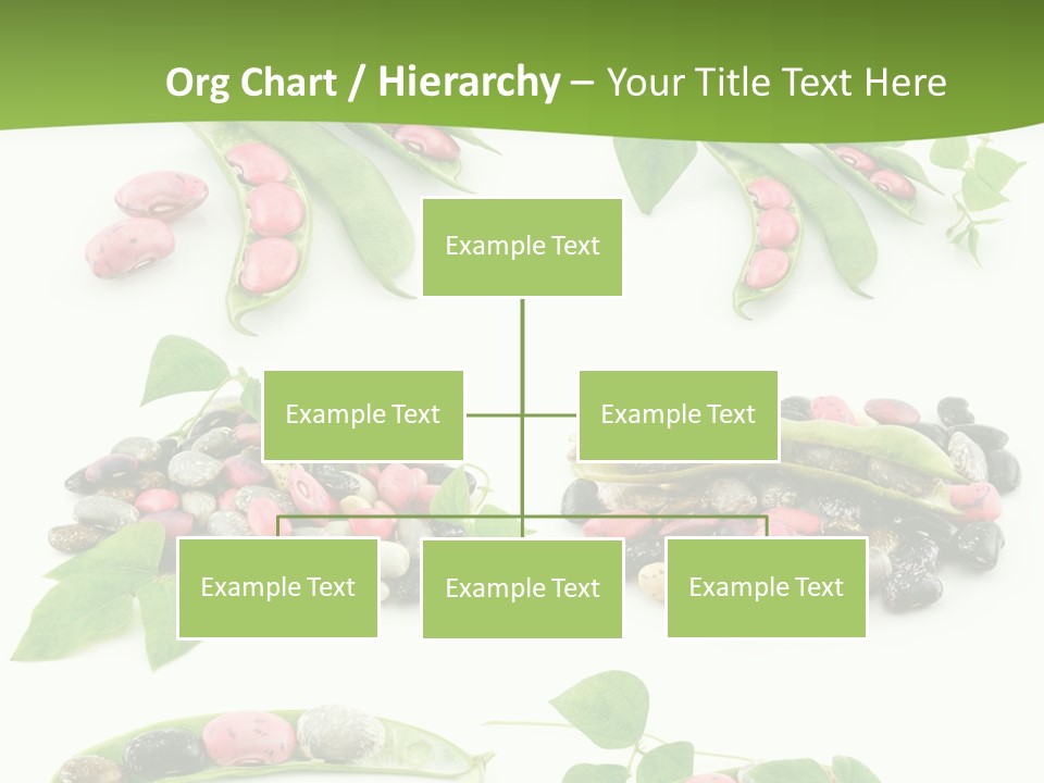 Nature Bean Collection PowerPoint Template