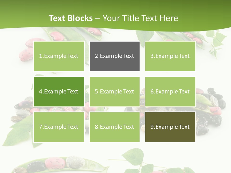 Nature Bean Collection PowerPoint Template