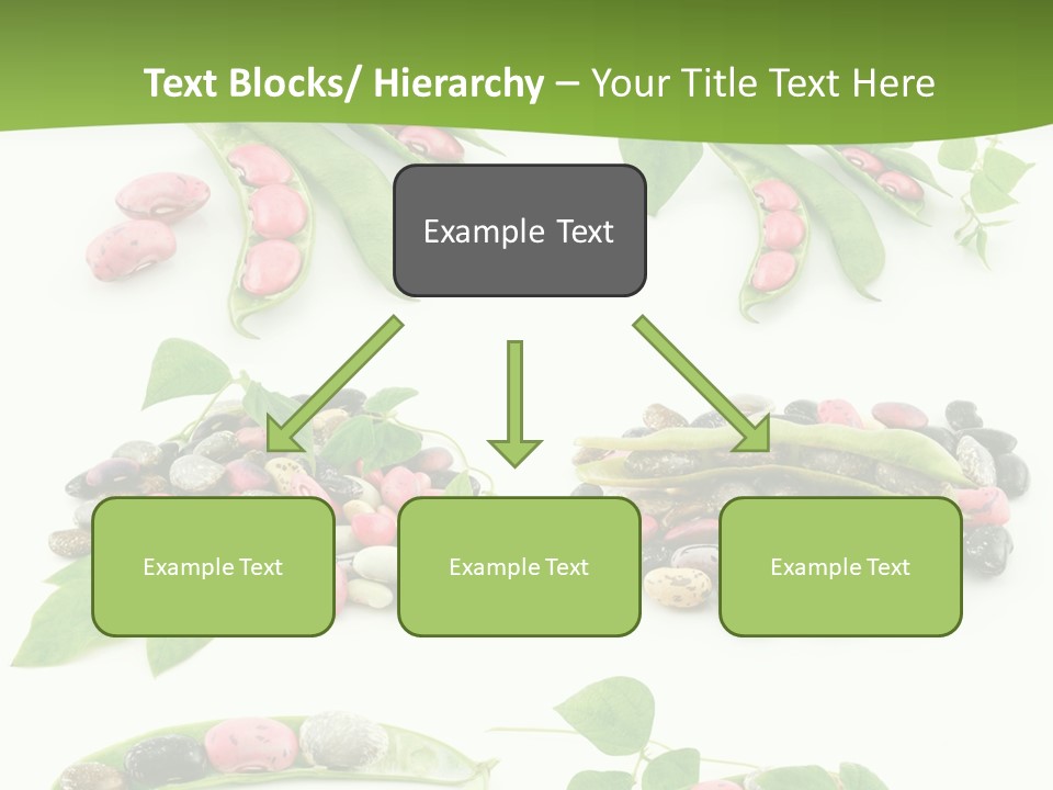 Nature Bean Collection PowerPoint Template