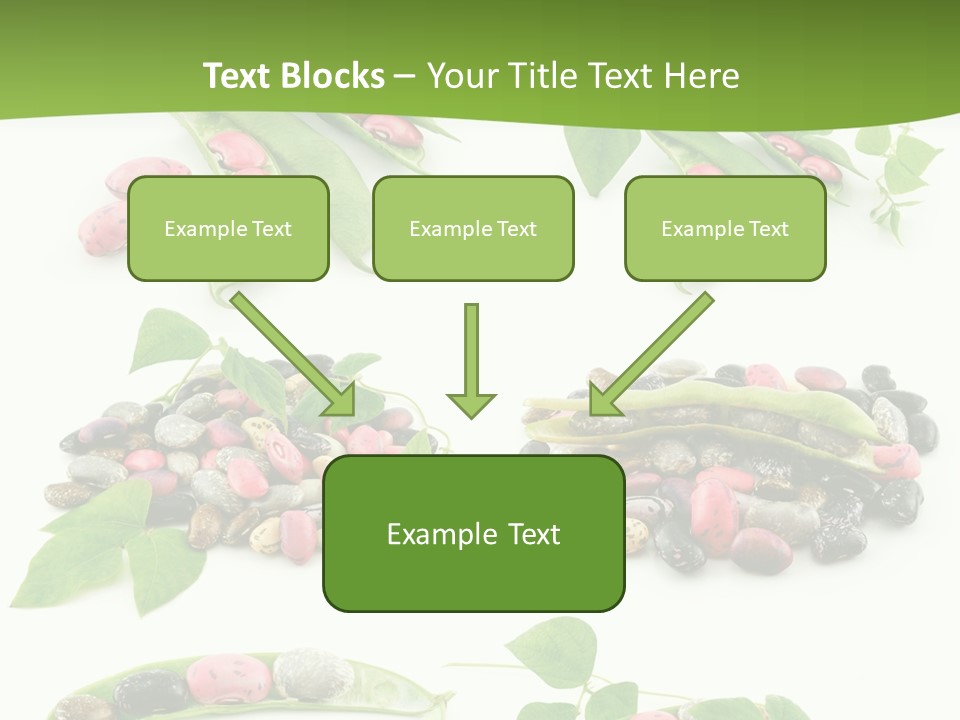 Nature Bean Collection PowerPoint Template