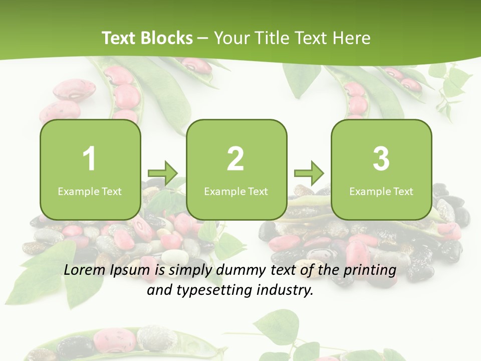 Nature Bean Collection PowerPoint Template
