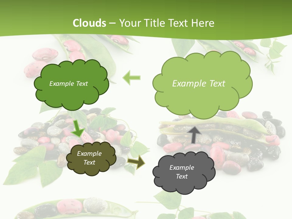 Nature Bean Collection PowerPoint Template